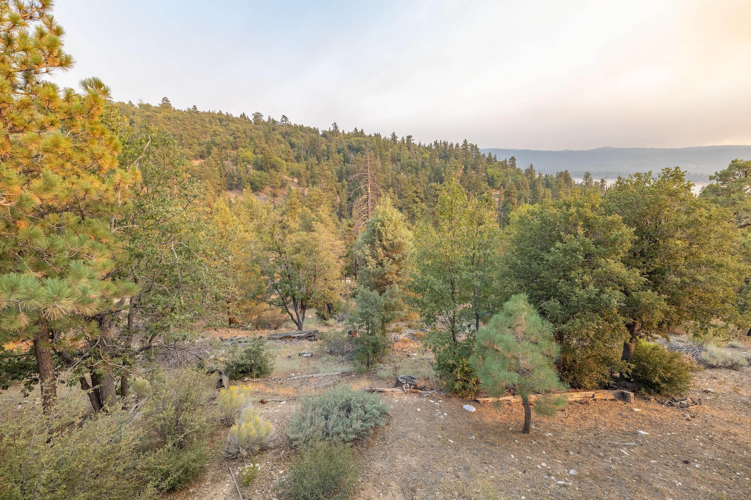 1296 Ridge Road Fawnskin, CA 92333 - Photo 29 of 30 IMG_0257