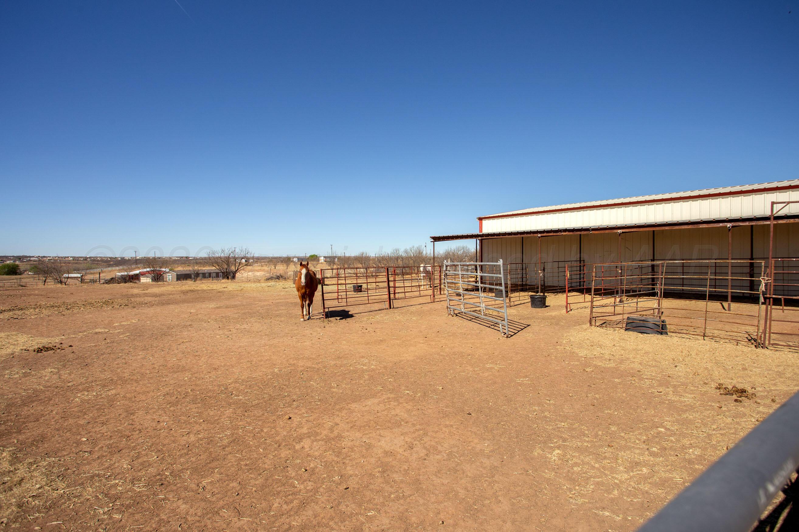 8300 Arlie Road Amarillo, TX 79108 - Photo 31 of 44 8300 Arlie - Horse Facilities - 3