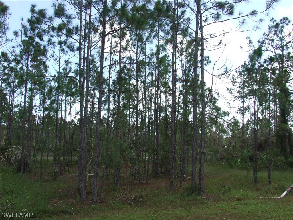 841 Gedeon Road Lehigh Acres, FL 33974 - Photo 18 of 18 Gallery Image 18