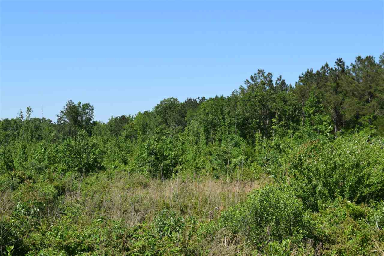 0 Forest Service Road Morton, MS 39117 - Photo 12 of 17 Photo 12