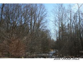 Tbd Davis Run Road McDowell, VA 24458 - Photo 2 of 8 Gallery Image 2