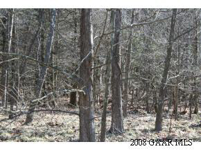 Tbd Davis Run Road McDowell, VA 24458 - Photo 3 of 8 Gallery Image 3