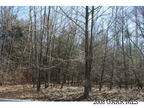 Tbd Davis Run Road McDowell, VA 24458 - Photo 4 of 8 Gallery Image 4