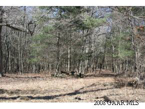Tbd Davis Run Road McDowell, VA 24458 - Photo 8 of 8 Gallery Image 8