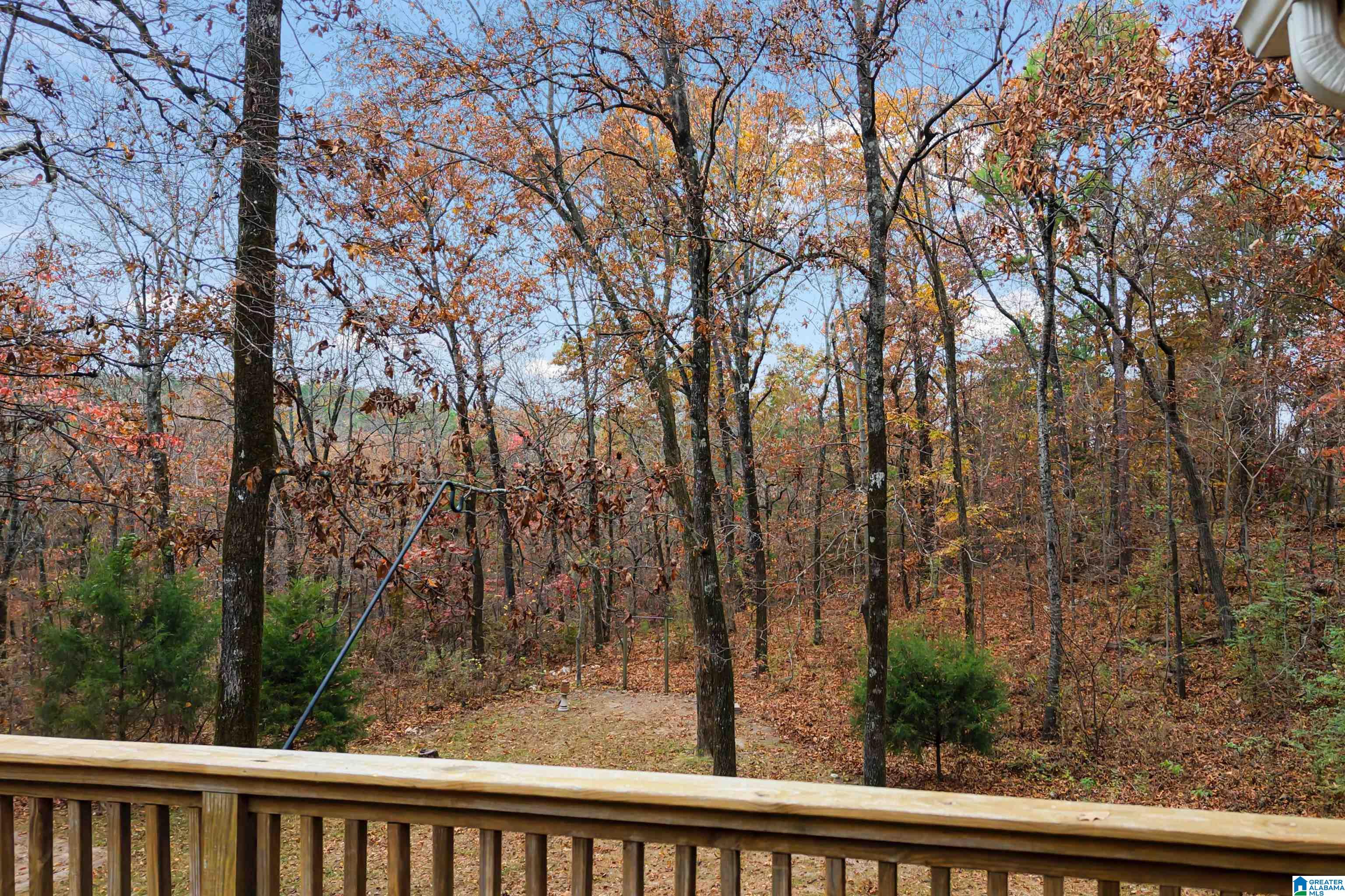 710 Forest Hills Trace Alabaster, AL 35007 - Photo 35 of 45
