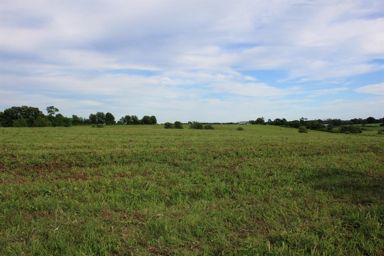 1 Escondida Road Paris, KY 40361 - Photo 8 of 12 Listing Photo