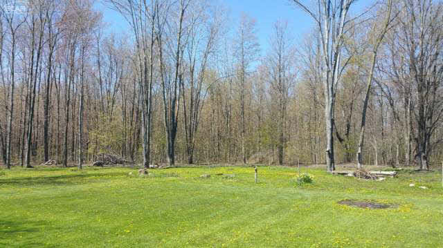7301 North Linden Road Mount Morris, MI 48458 - Photo 18 of 23 21141767-17.JPG
