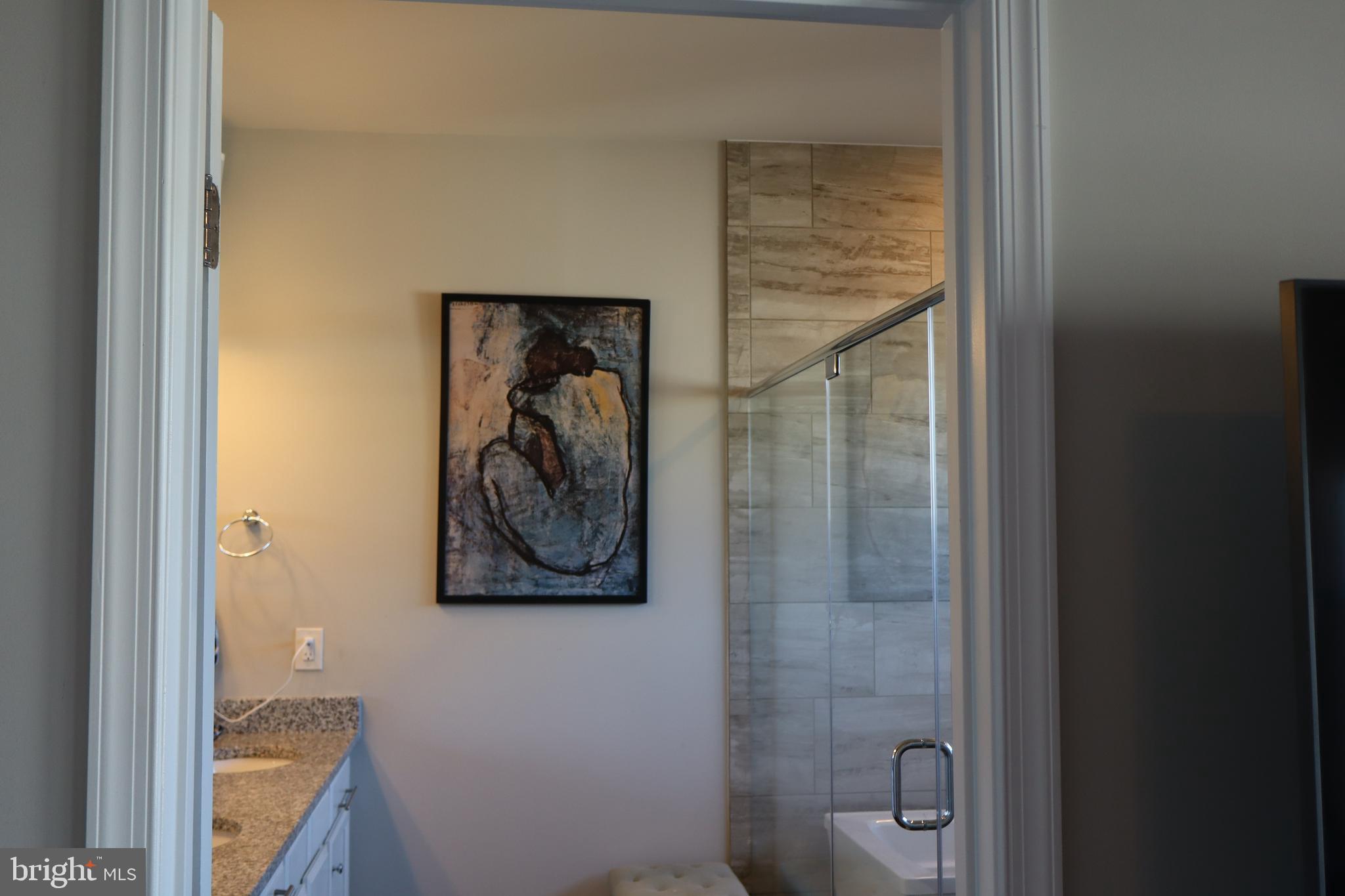 17193 Branched Oak Road Dumfries, VA 22026 - Photo 30 of 41