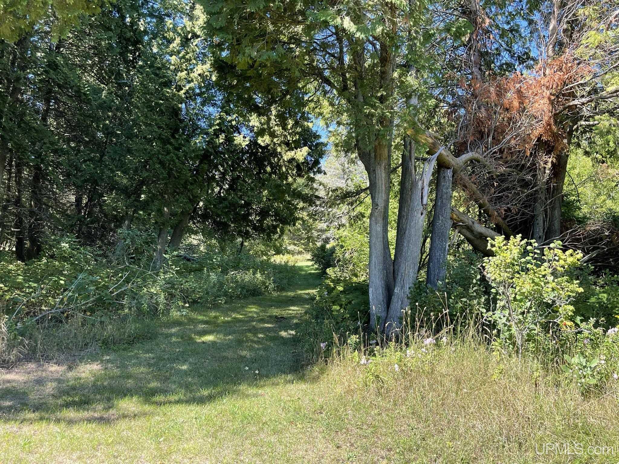 Tbd Ll Road Garden, MI 49835 - Photo 37 of 49