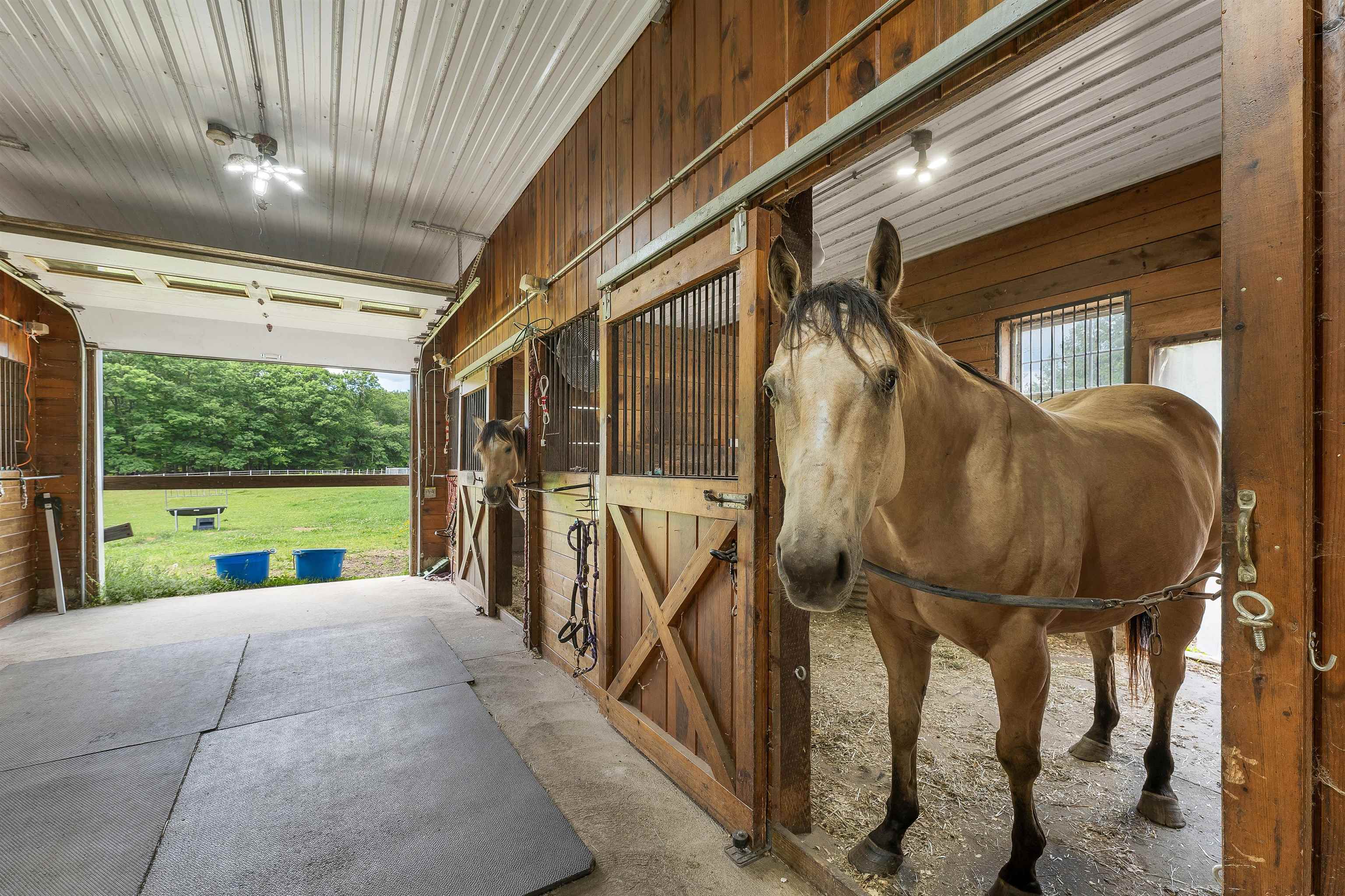 307 East Ricker Road Loudon, NH 03307 - Photo 48 of 59