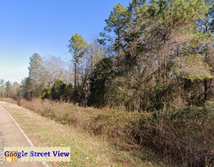 161 Thrasher Road Plains, GA 31780 - Photo 1 of 1 a view of a dry yard with trees