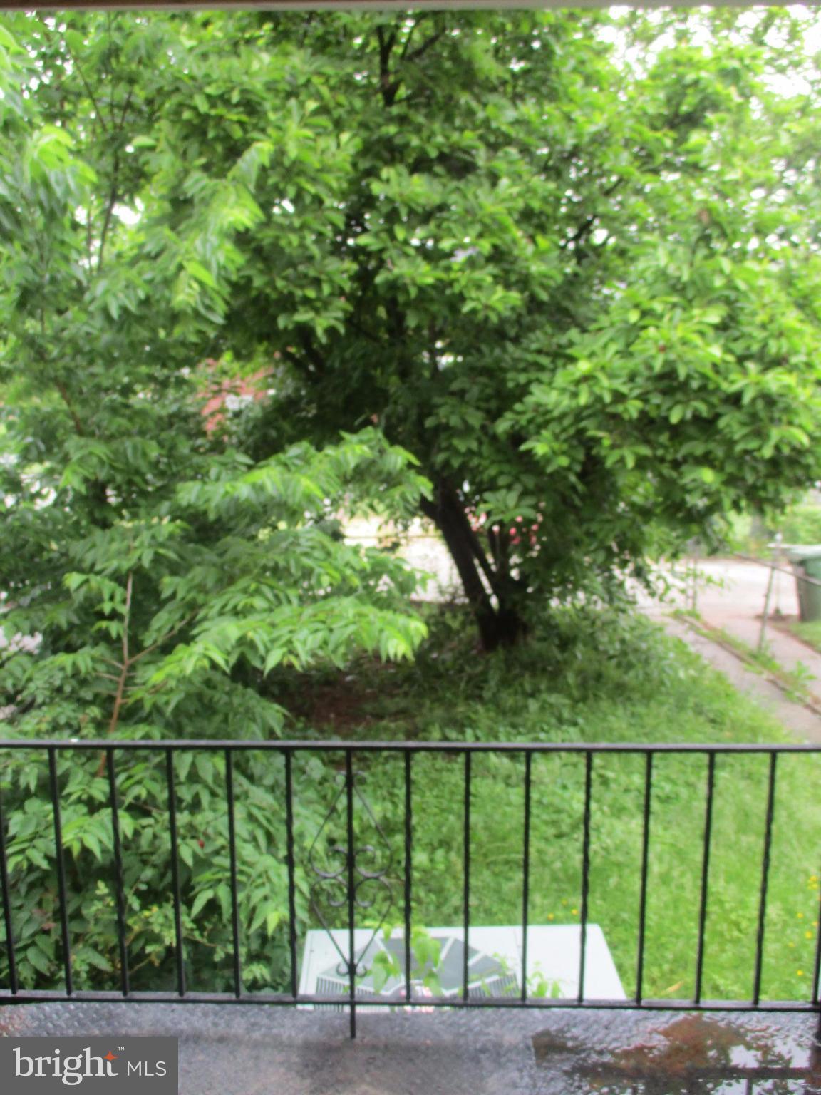 3902 Annellen Road Baltimore, MD 21215 - Photo 16 of 16 Yard