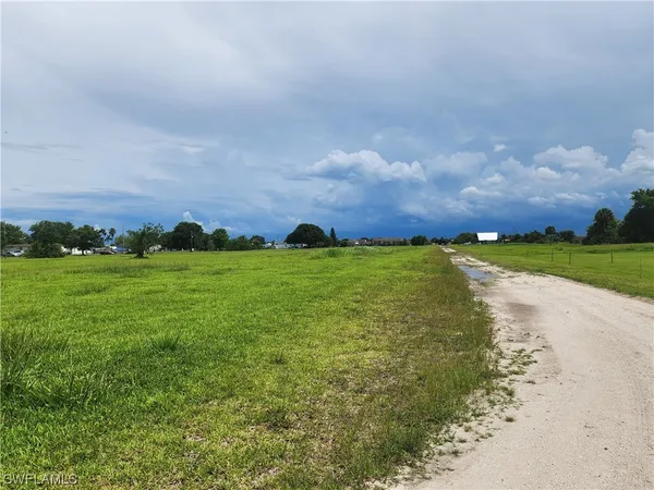 a view of a big yard with plants and large trees