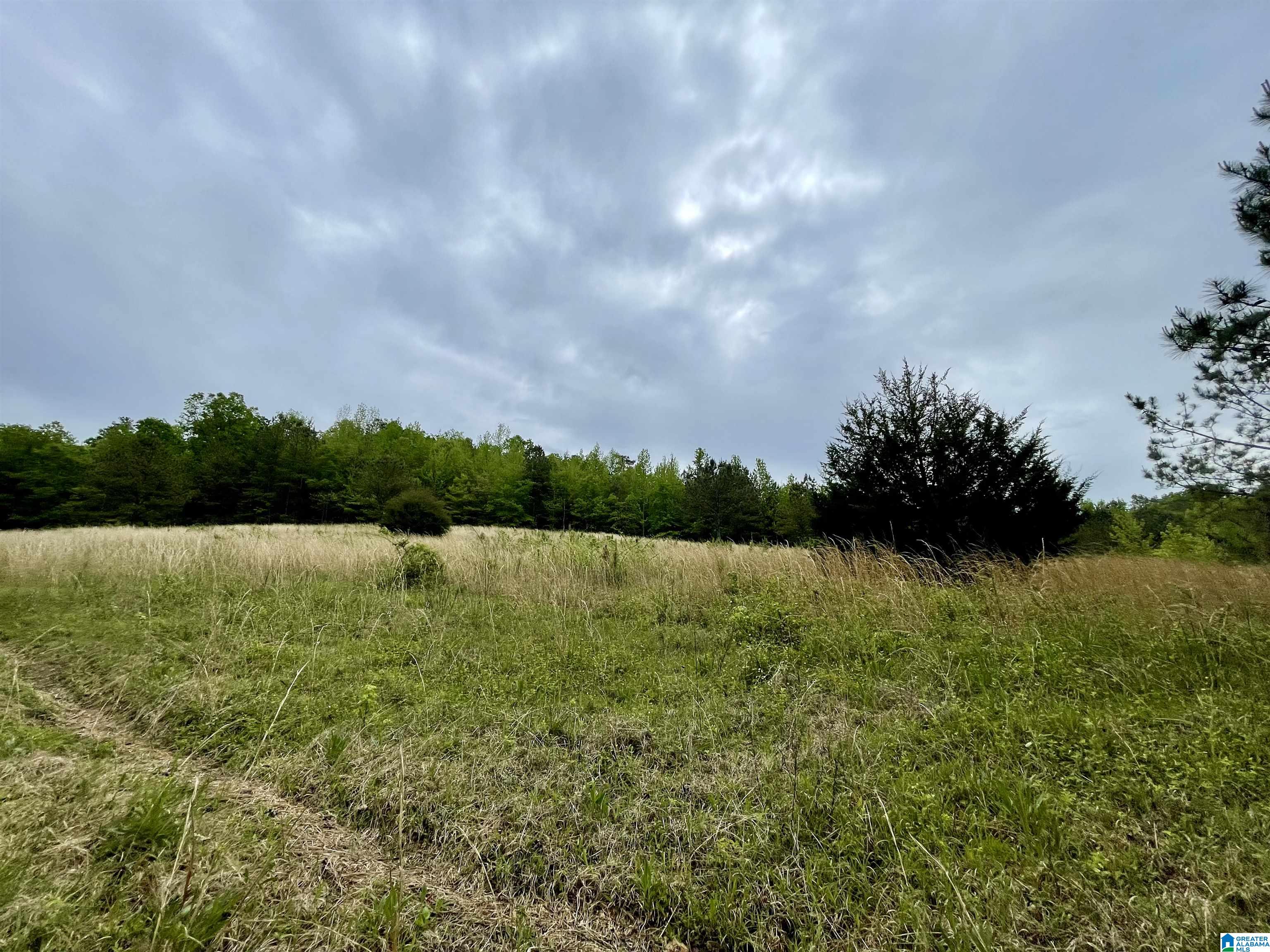 3927 Brazel Mill Road Altoona, AL 35952 - Photo 1 of 21