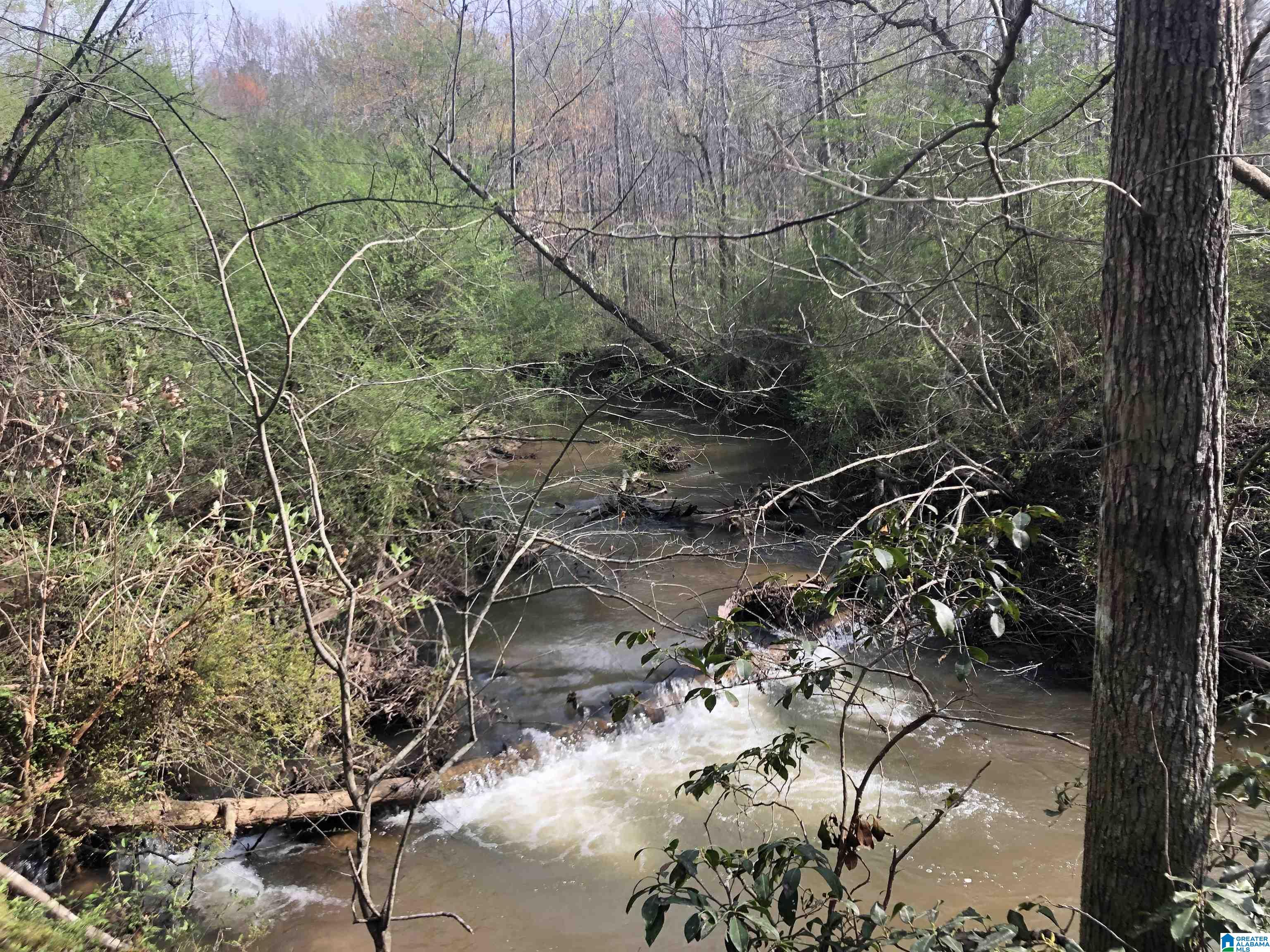 0 Highway 431 Wedowee, AL 36278 - Photo 2 of 6