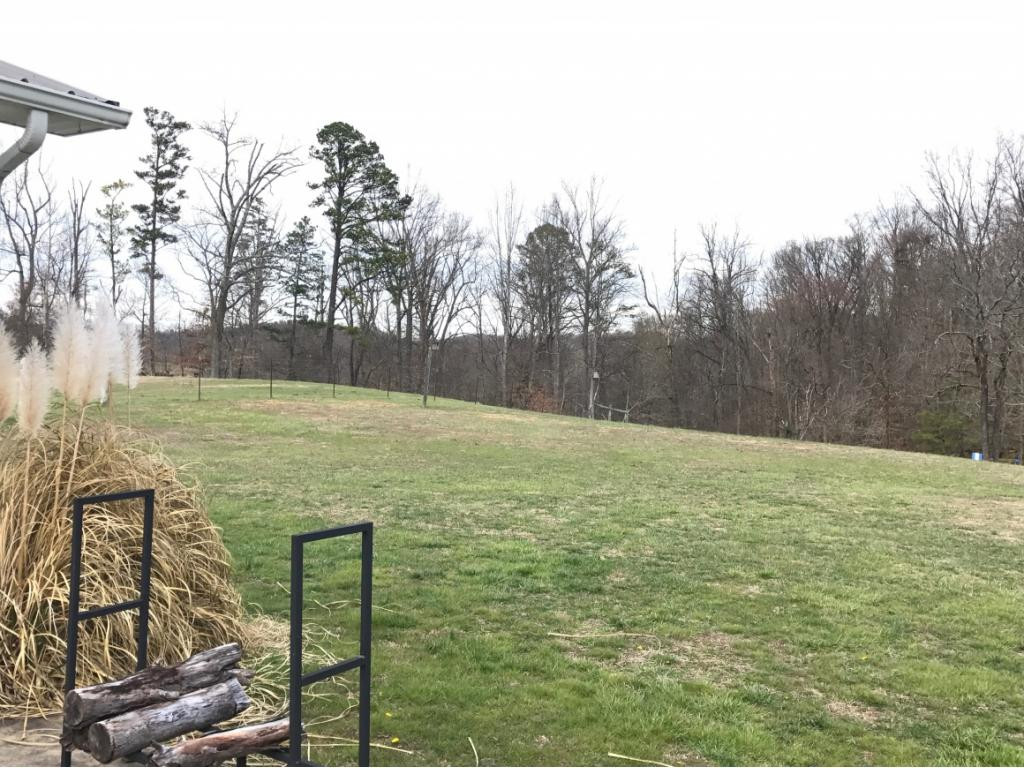 5675 Jones Bridge Road Greeneville, TN 37743 - Photo 7 of 14 Back yard