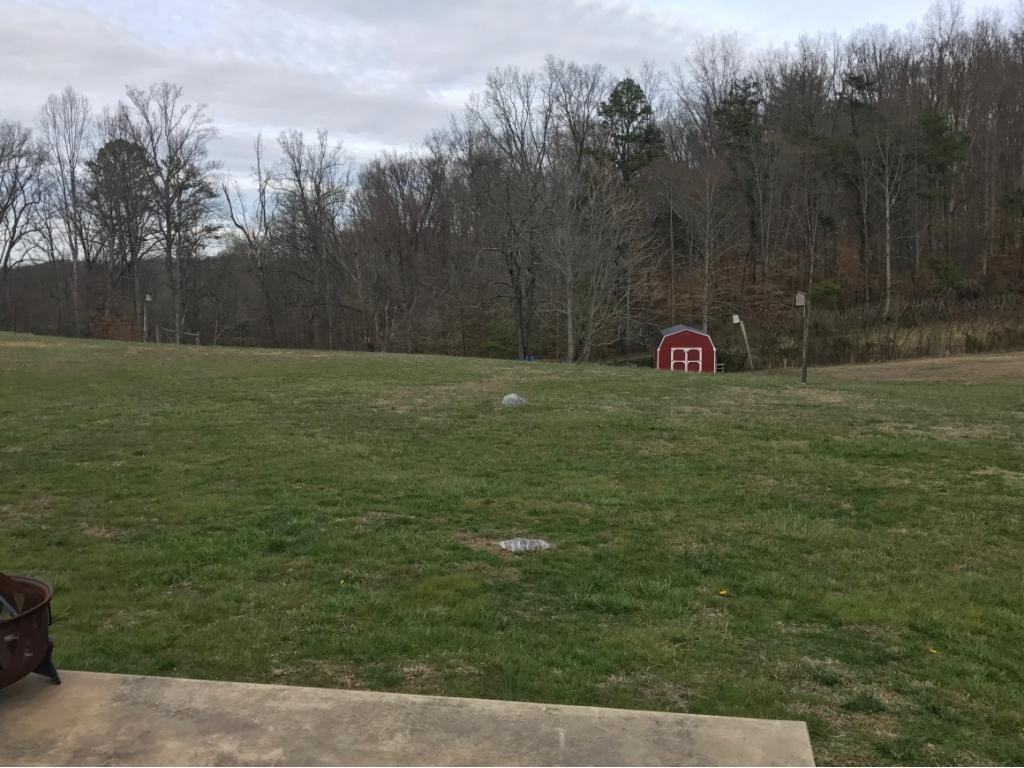 5675 Jones Bridge Road Greeneville, TN 37743 - Photo 8 of 14 Back yard to storage shed