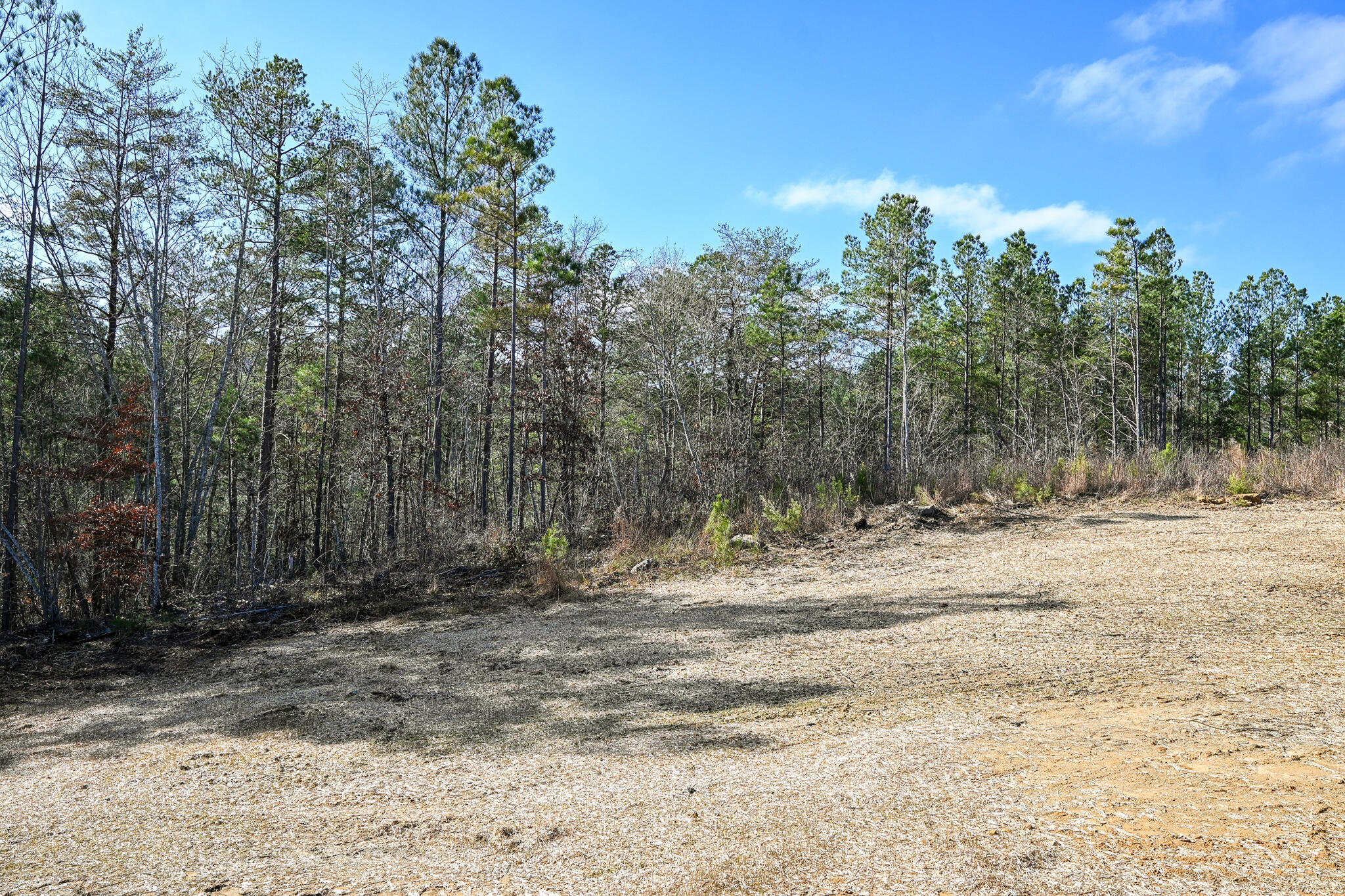 531 Horns Creek Road Old Fort, TN 37362 - Photo 55 of 62 DSC_4446