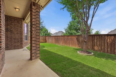 a view of a backyard with a tree