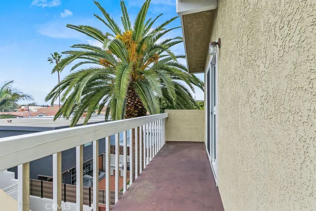 a view of a palm tree from a balcony