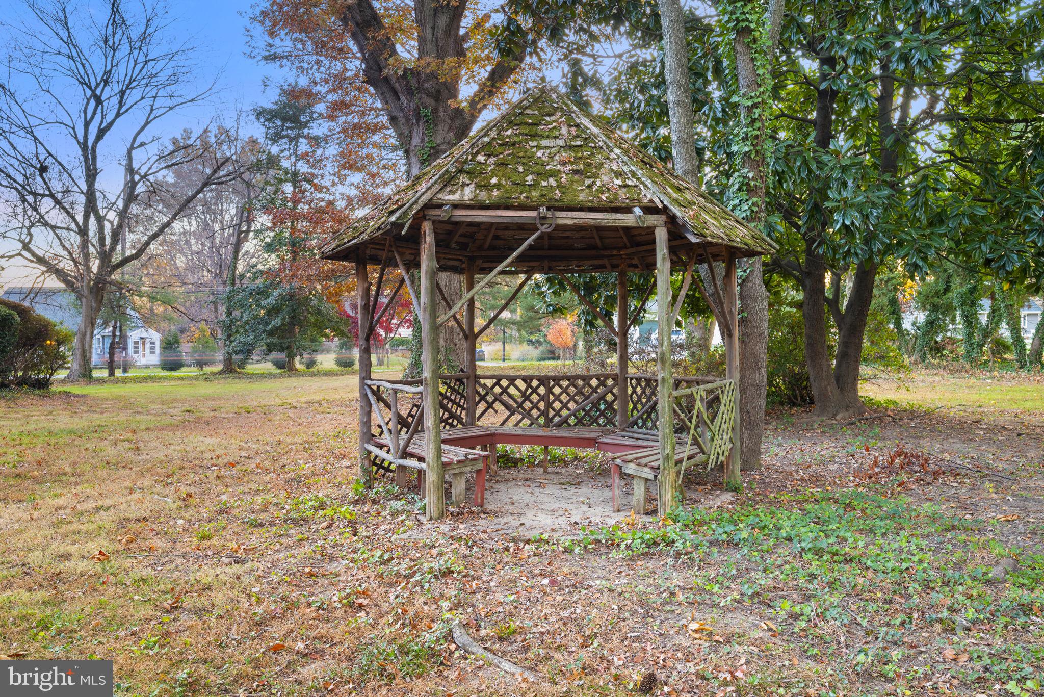 332 South Providence Road Wallingford, PA 19086 - Photo 57 of 69 a view of outdoor space with deck and tree