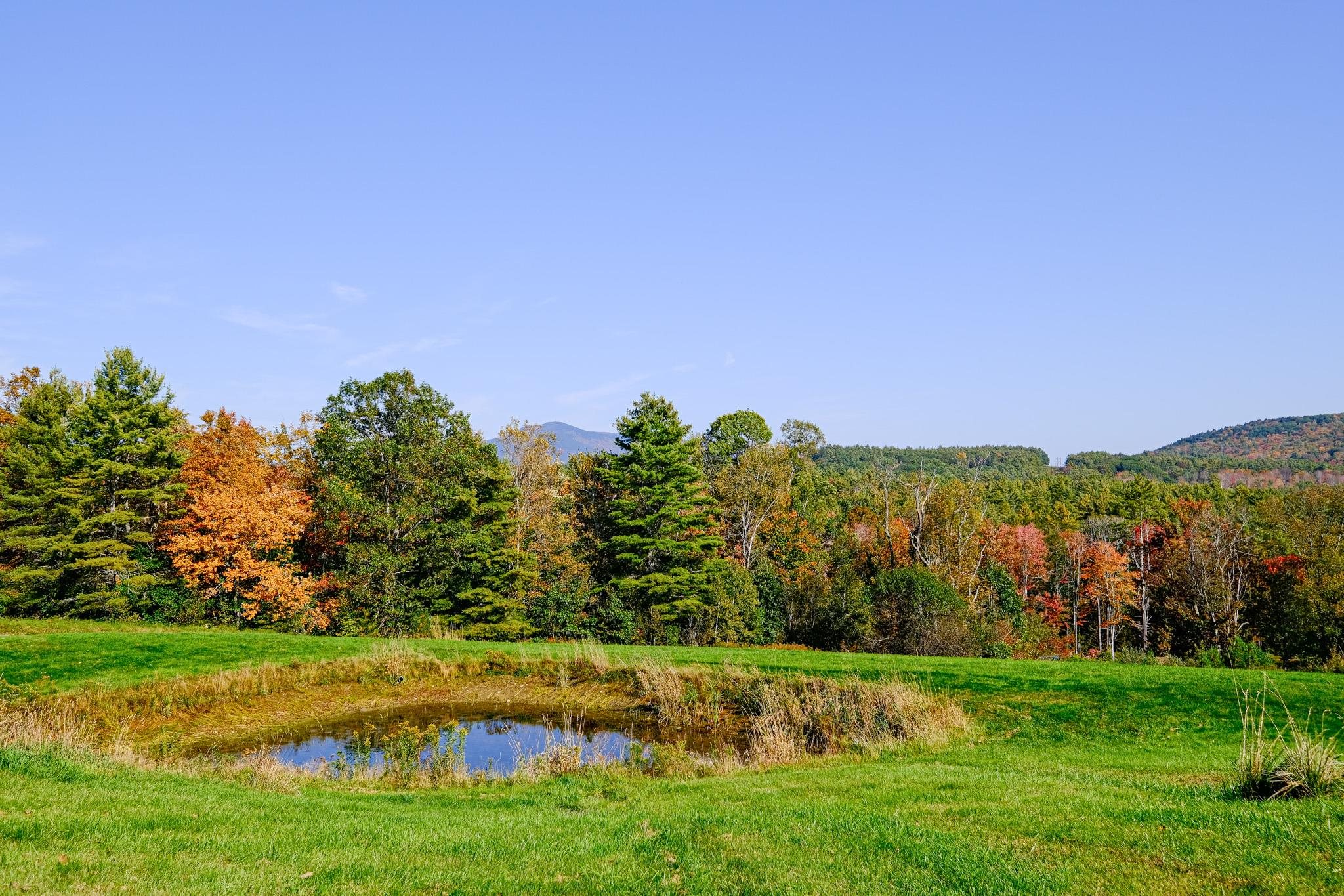 1521 E Road Cavendish, VT 05142 - Photo 21 of 37