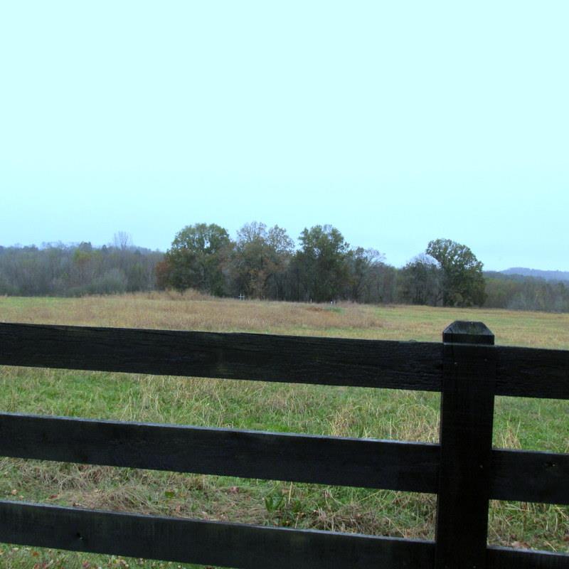 37 Rambo Road Fayetteville, TN 37334 - Photo 7 of 12 Gallery Image 7