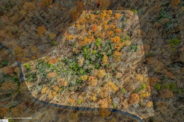 $120,000 | 45 Danna View Court, Marietta, SC 29661