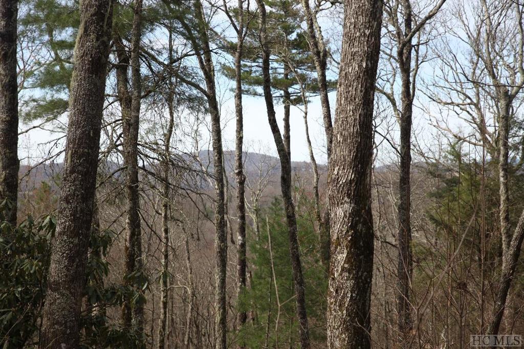 Tbd Cowee Ridge Road Highlands, NC 28741 - Photo 5 of 11 Gallery Image 5