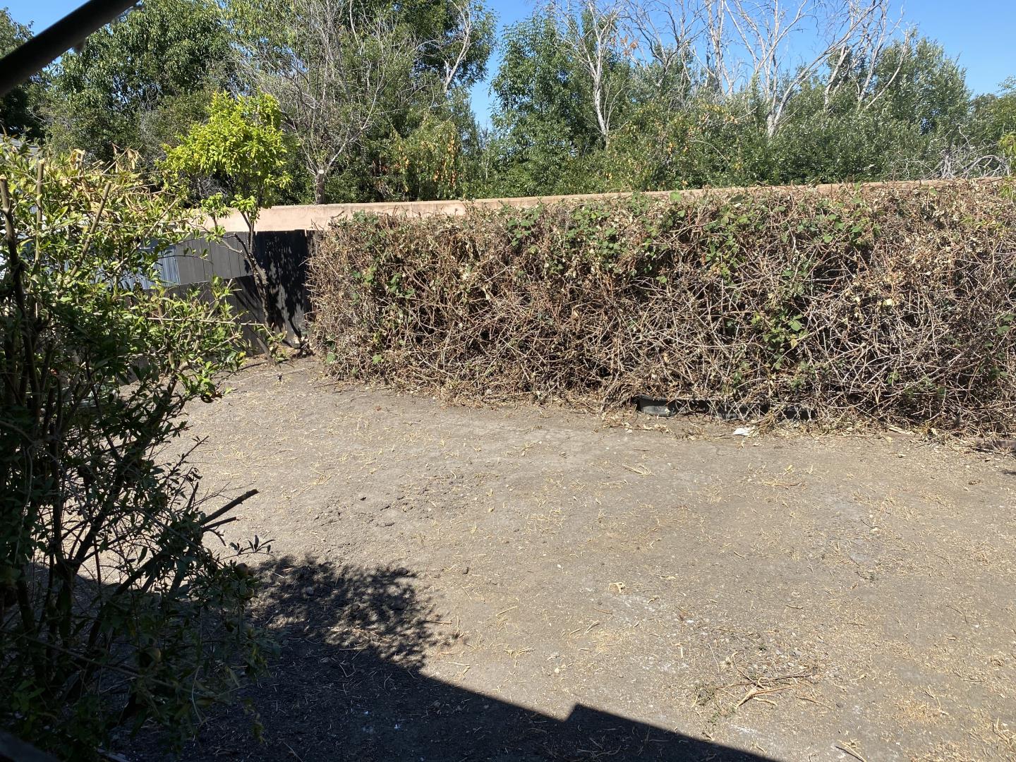 1220 Tasman Drive, Unit 87D Sunnyvale, CA 94089 - Photo 9 of 16 a view of a field with a tree