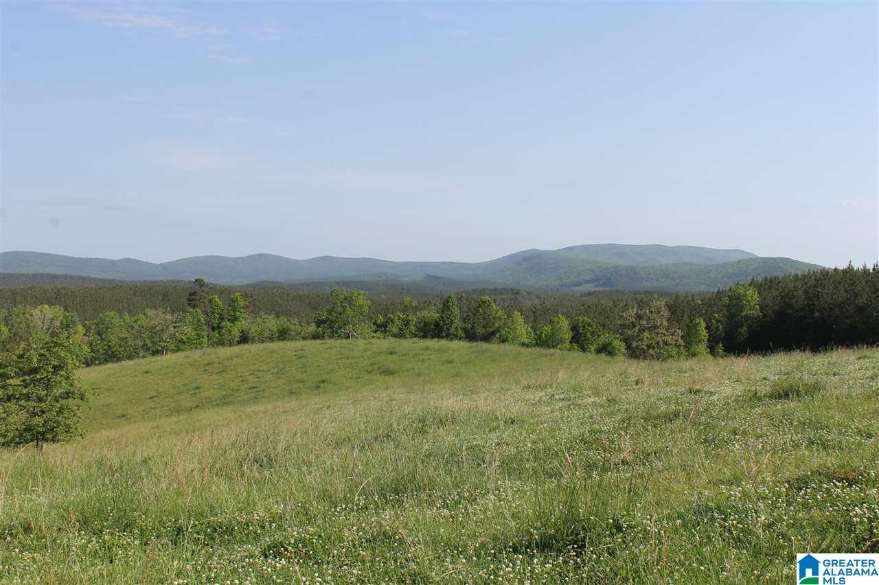 31 County Road Ashland, AL 36251 - Photo 7 of 38