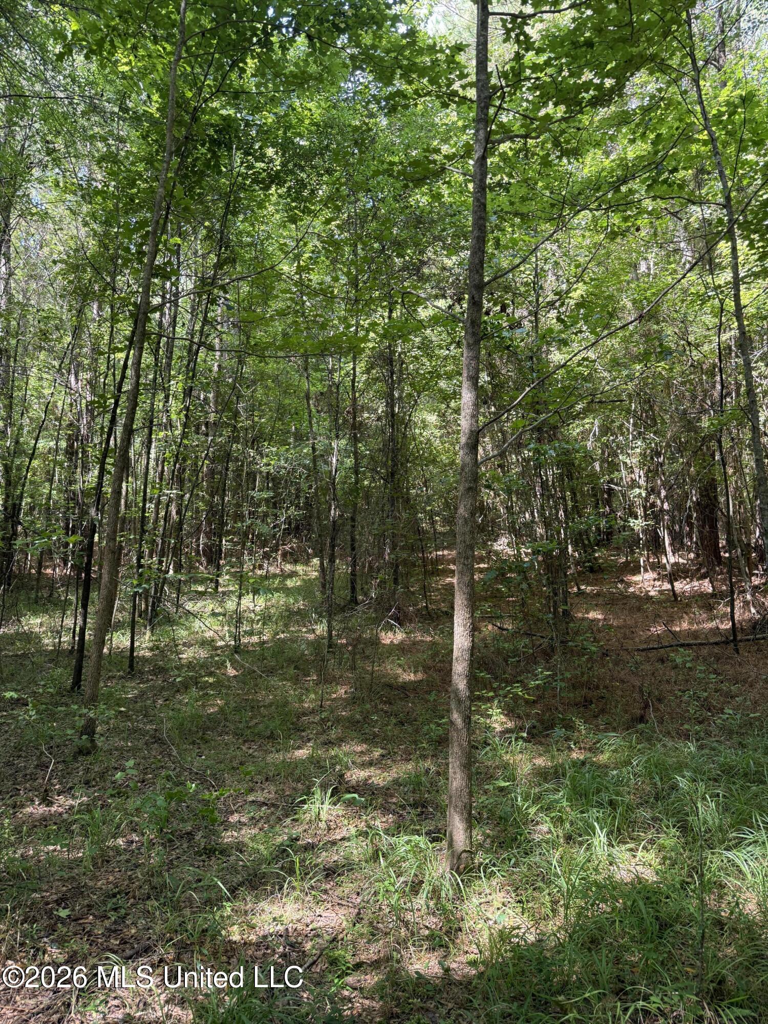 407 Highway Kilmichael Ms 39747 French Camp, MS 39745 - Photo 6 of 26 IMG_6296