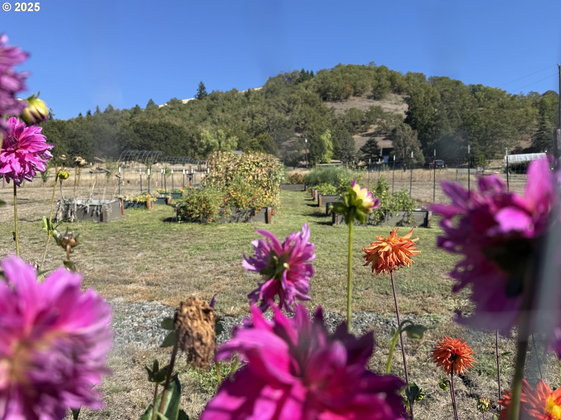 7978 North Bank Road Roseburg, OR 97470 - Photo 4 of 44