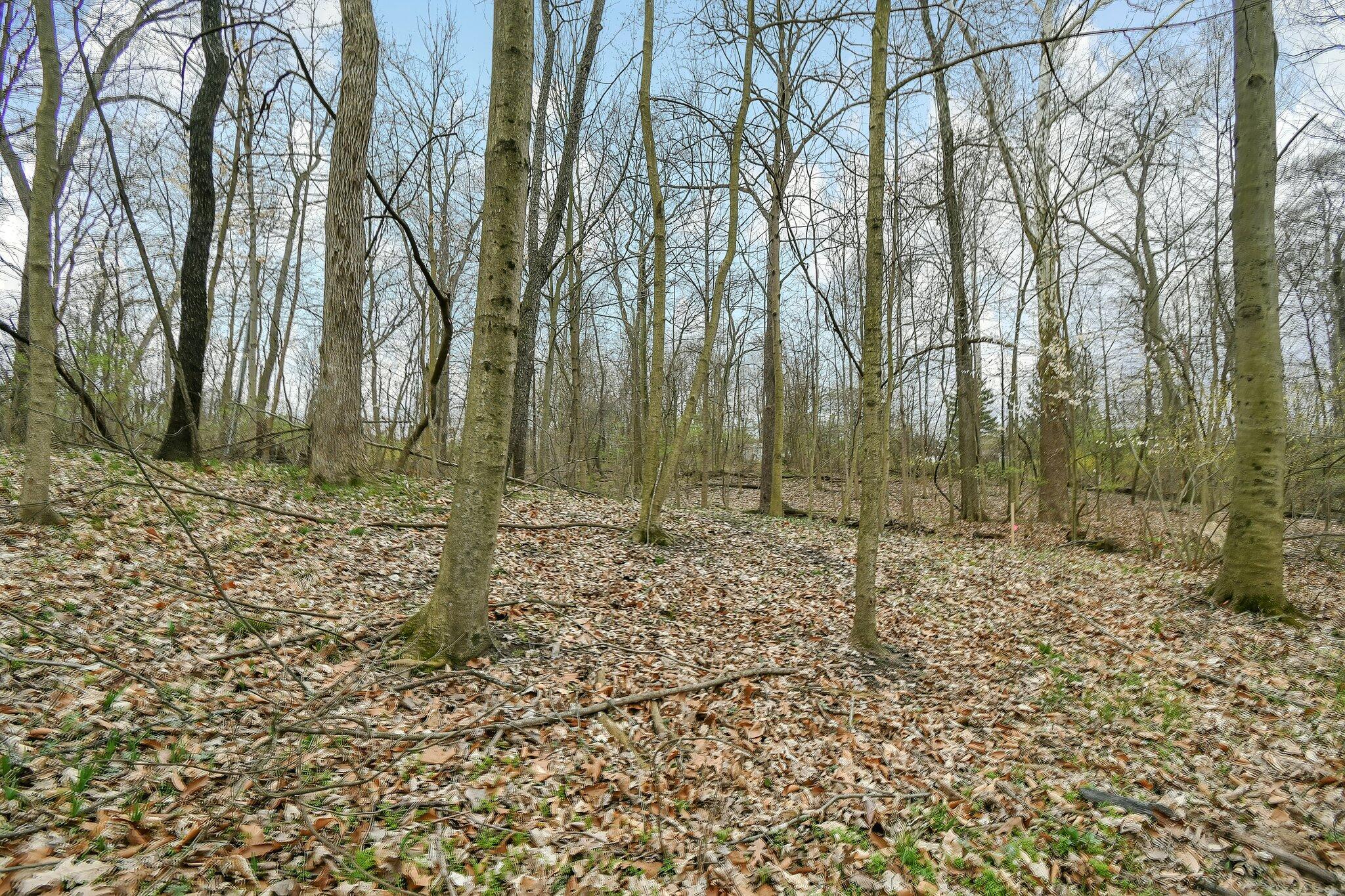 829 Brice Road Columbus, OH 43213 - Photo 42 of 45 40-web-or-mls-829-brice-rd