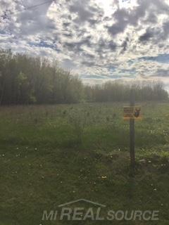 V/l Crawford Road Deford, MI 48729 - Photo 2 of 5