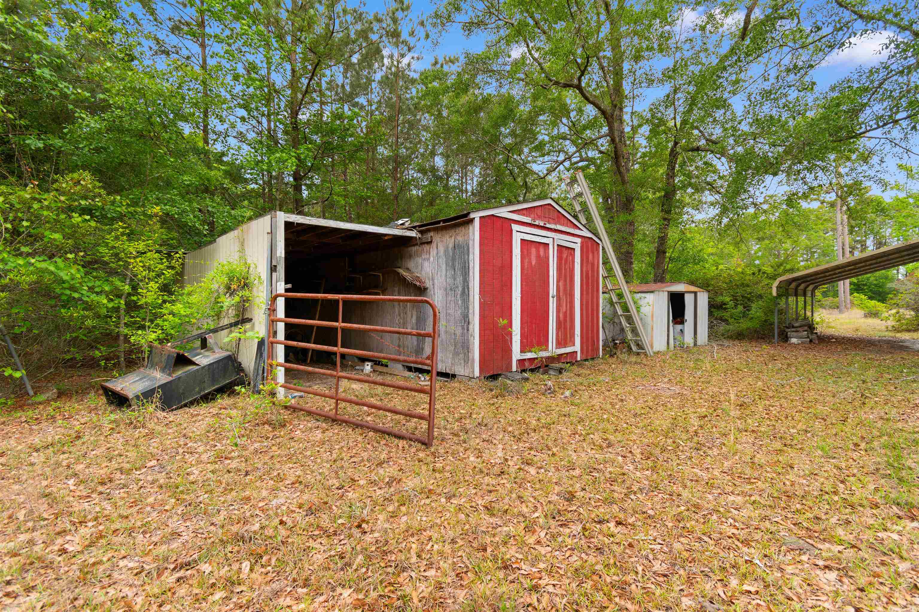 10201 Lake Swamp Road Nichols, SC 29581 - Photo 31 of 46 Gallery Image 31