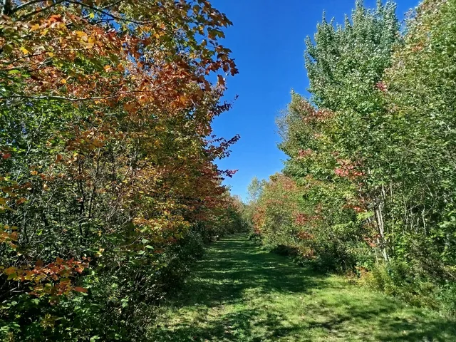 $689,000 | 717 Crystal Road, Crystal, ME 04747