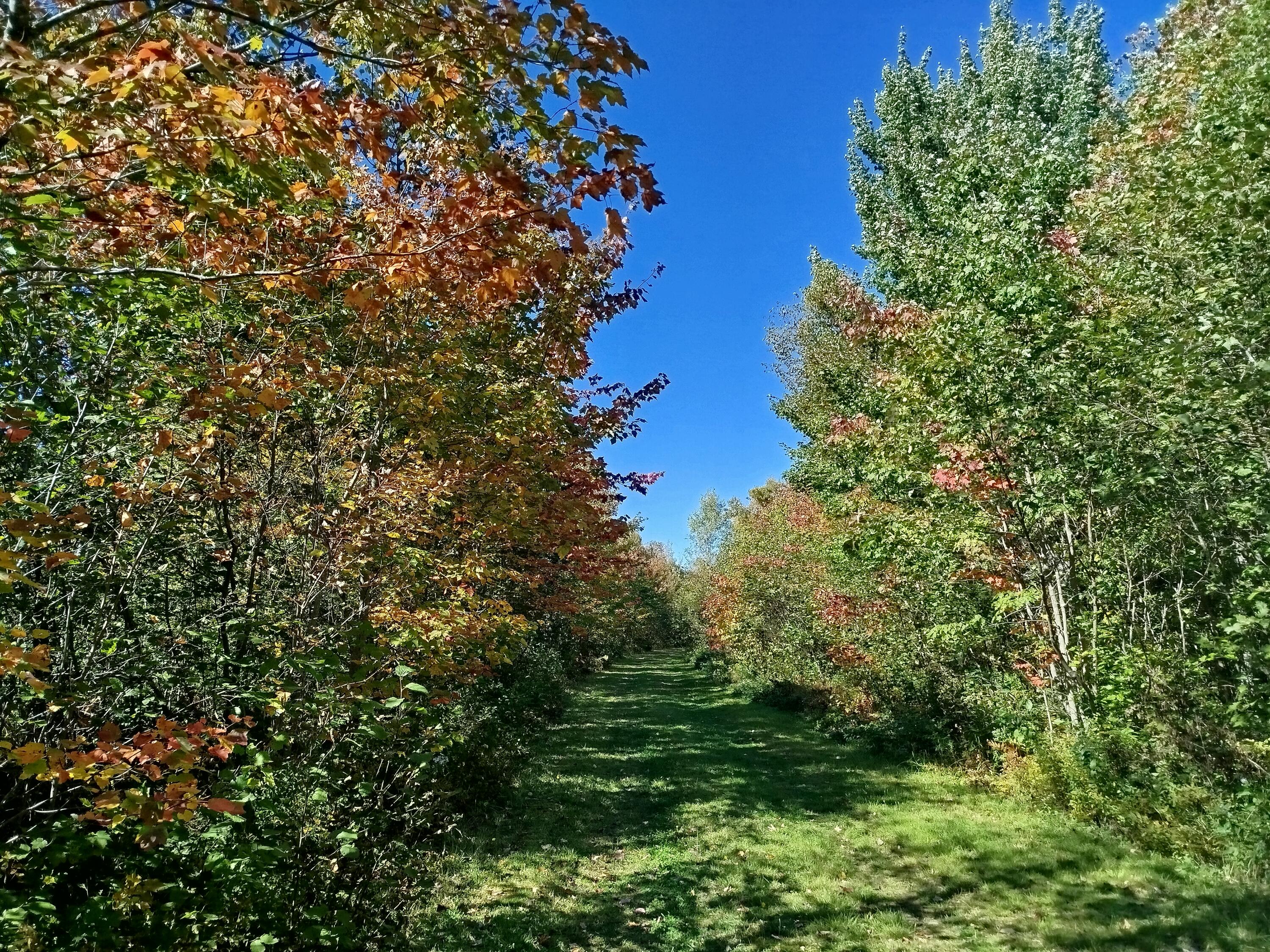 717 Crystal Road Crystal, ME 04747 - Photo 35 of 81 property road 1
