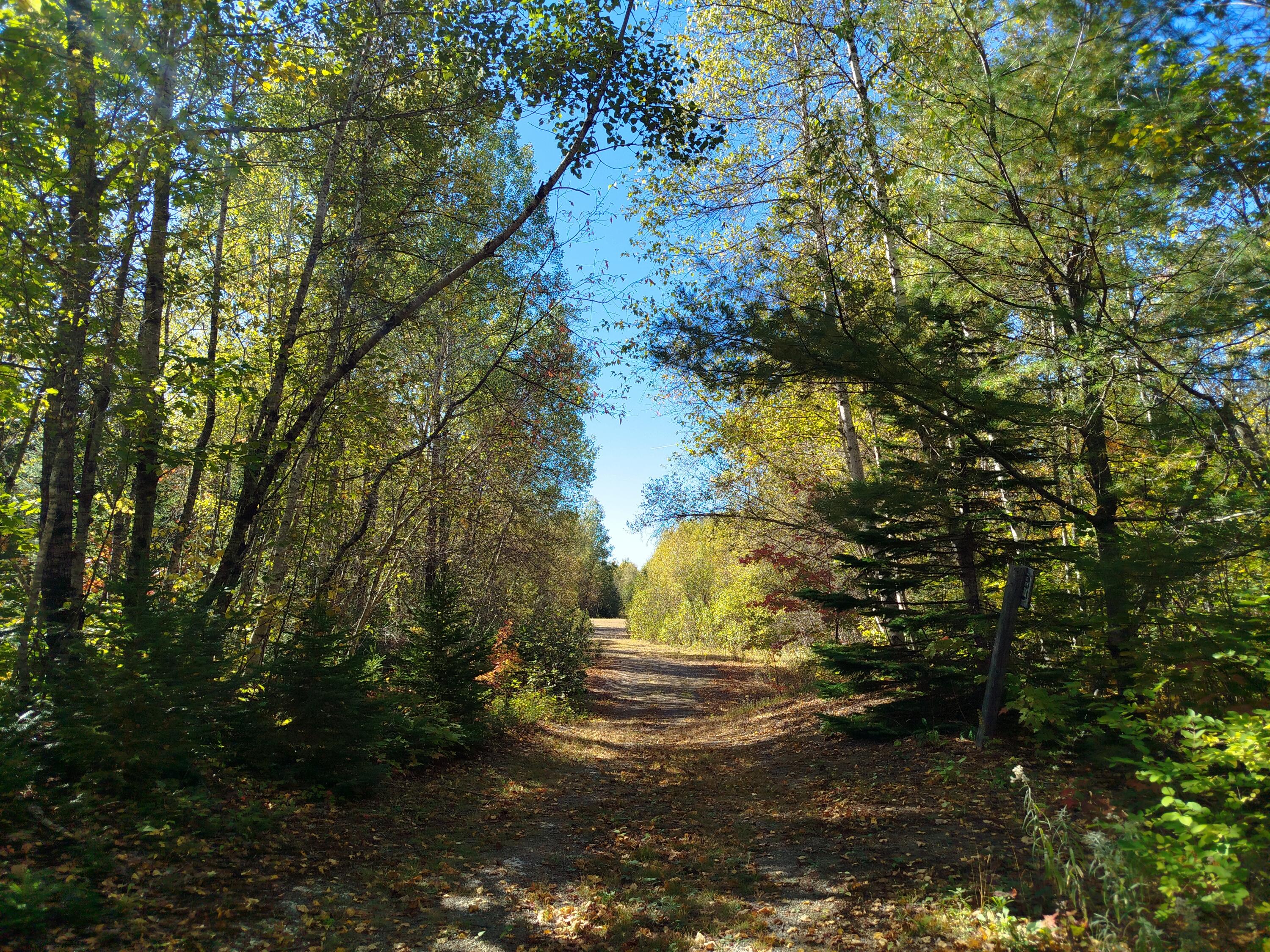 717 Crystal Road Crystal, ME 04747 - Photo 36 of 81 property road 2