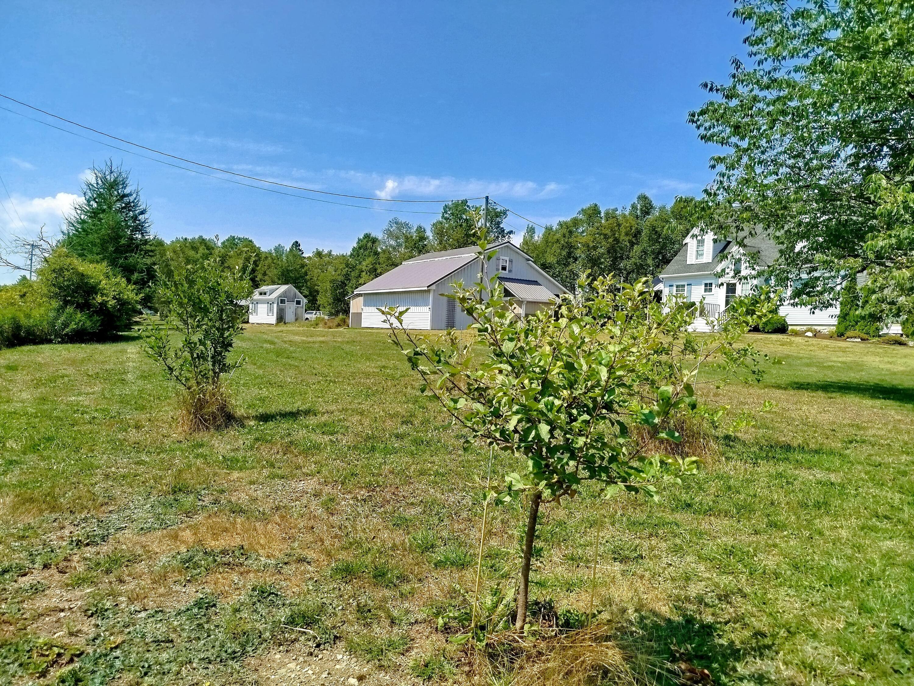 717 Crystal Road Crystal, ME 04747 - Photo 42 of 81 apple trees front