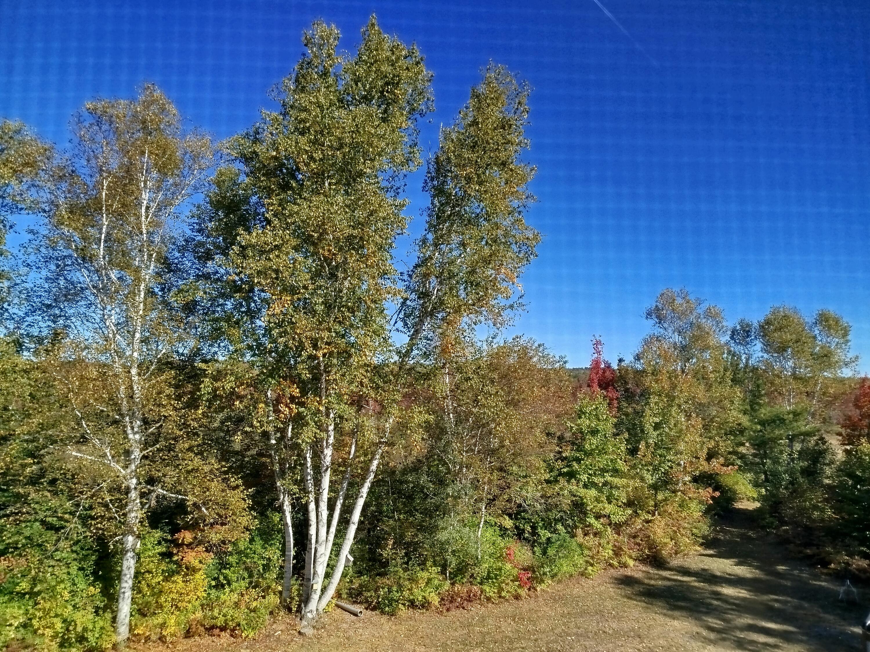 717 Crystal Road Crystal, ME 04747 - Photo 62 of 81 IMG_20250921_093712