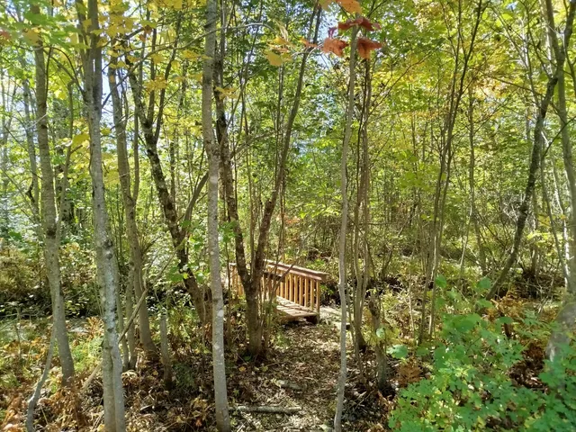 $689,000 | 717 Crystal Road, Crystal, ME 04747