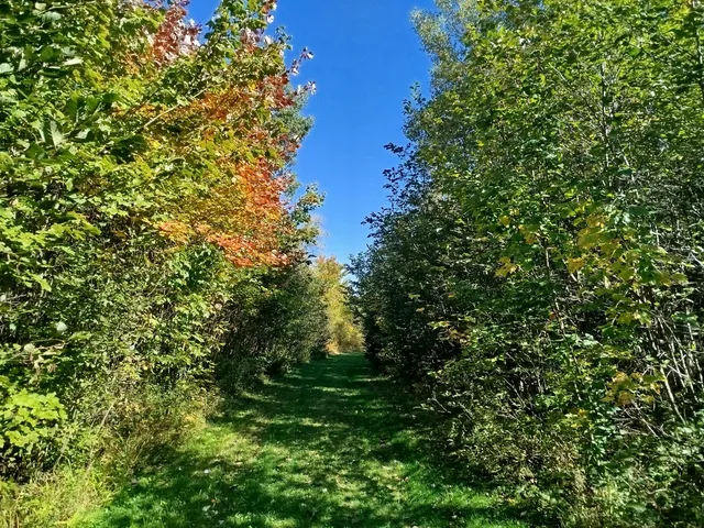 $689,000 | 717 Crystal Road, Crystal, ME 04747