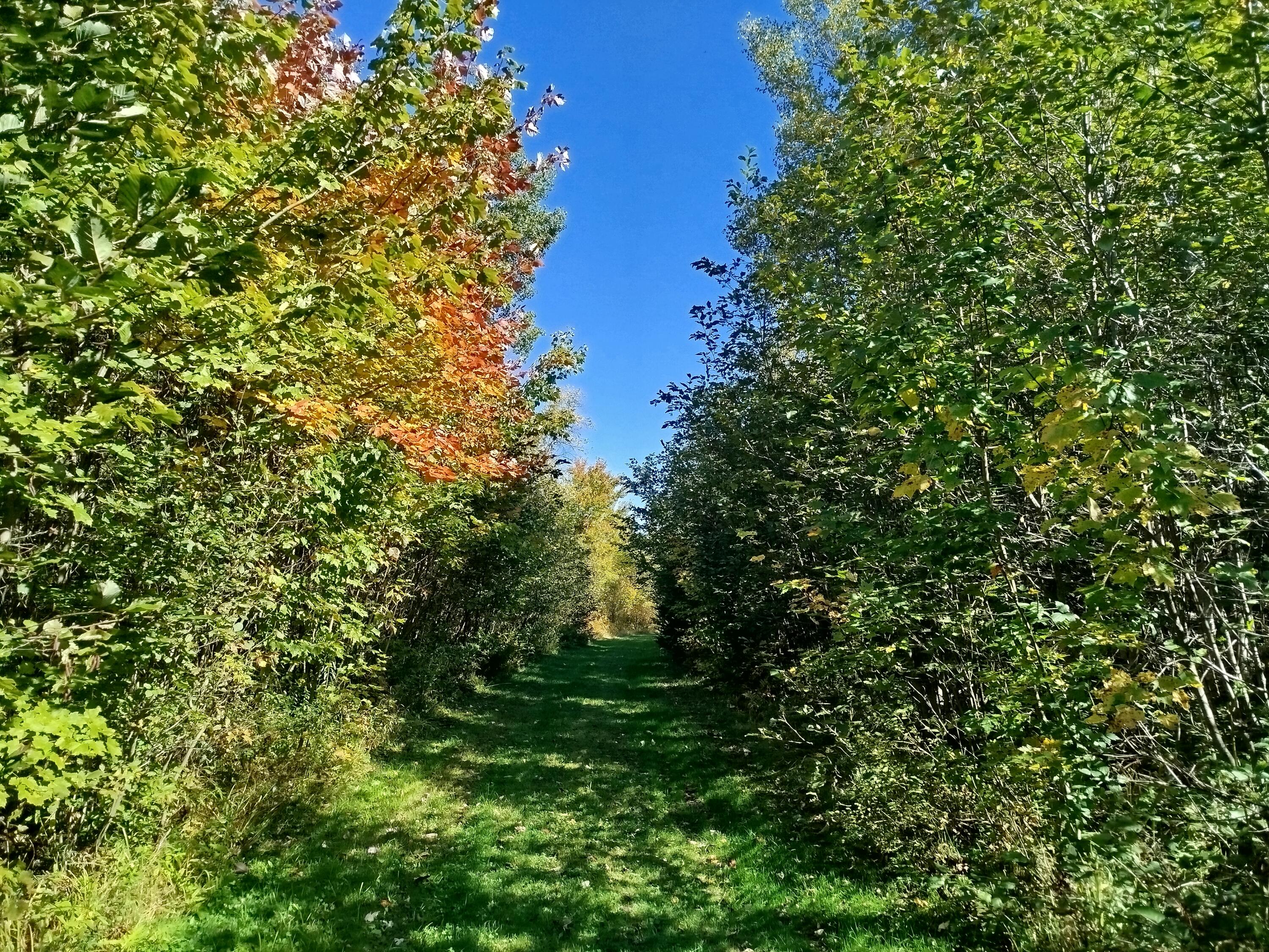 717 Crystal Road Crystal, ME 04747 - Photo 68 of 81 IMG_20250921_135757