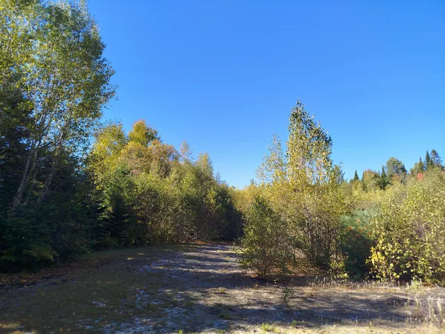 $689,000 | 717 Crystal Road, Crystal, ME 04747