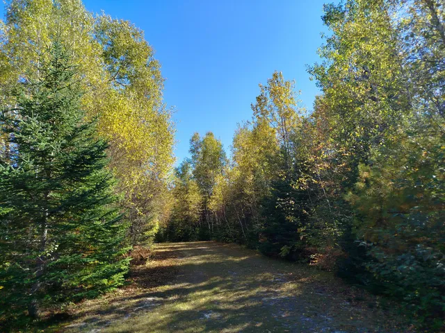 $689,000 | 717 Crystal Road, Crystal, ME 04747