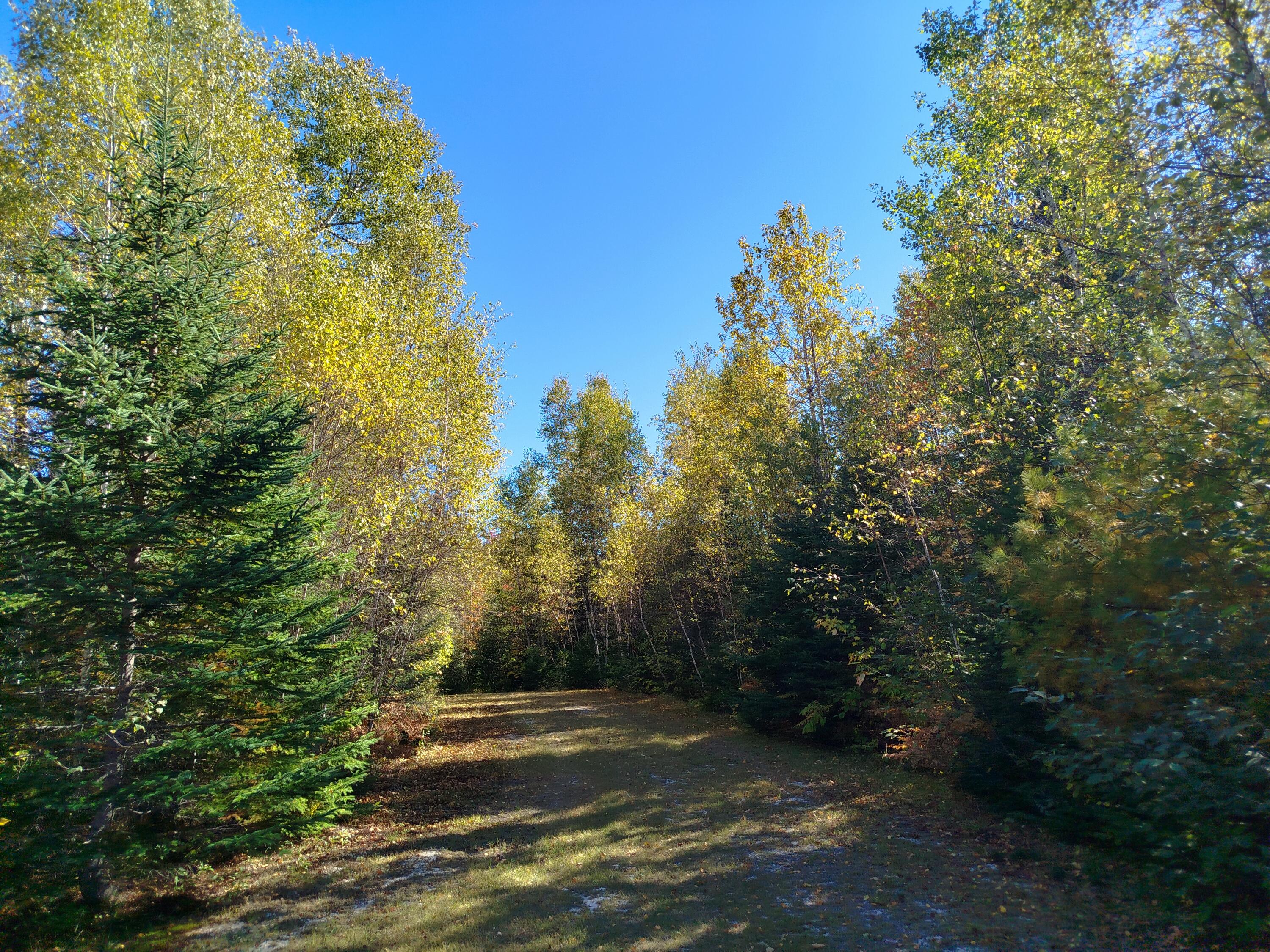 717 Crystal Road Crystal, ME 04747 - Photo 72 of 81 IMG_20250921_141326