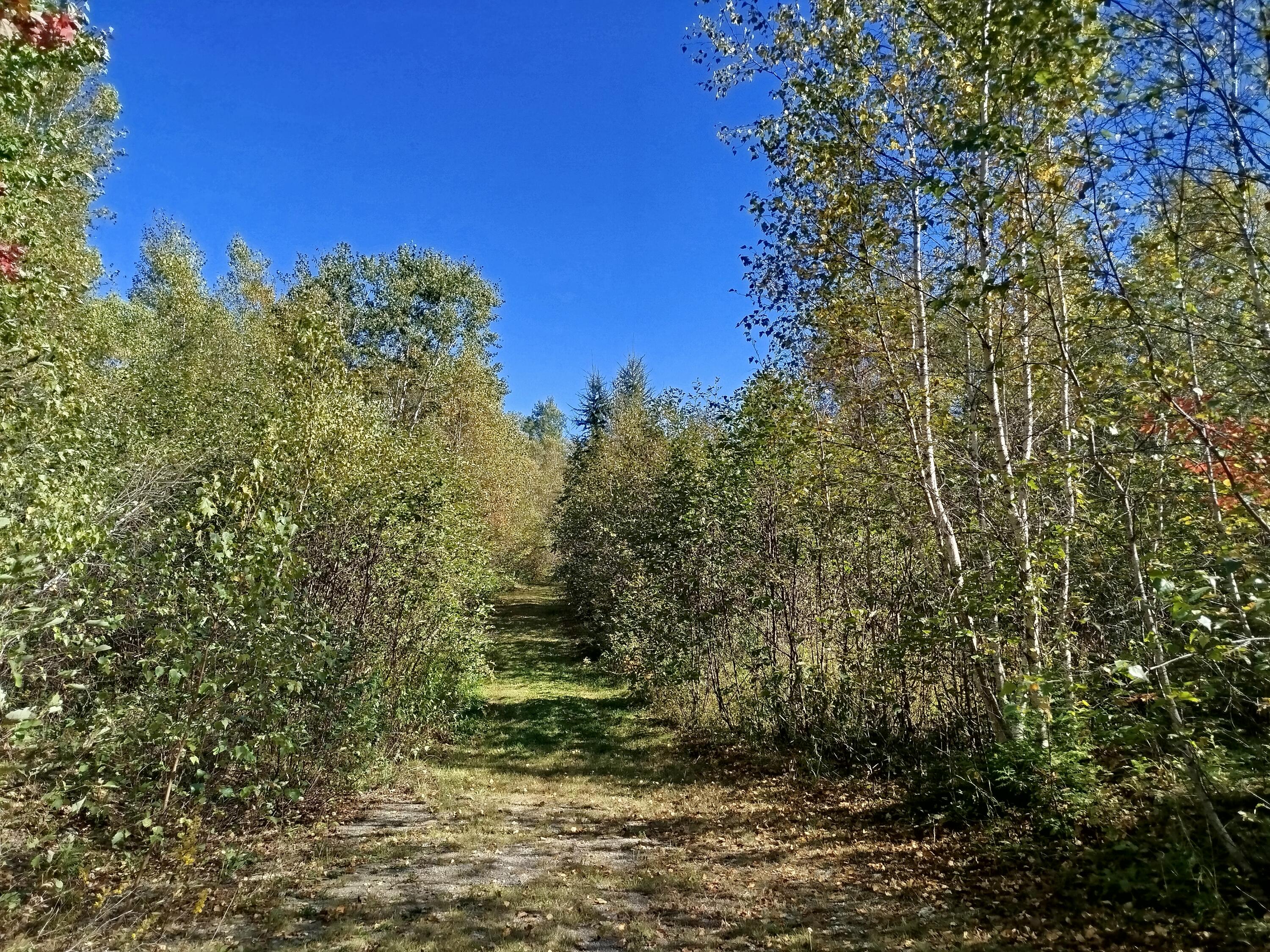 717 Crystal Road Crystal, ME 04747 - Photo 74 of 81 IMG_20250921_141455