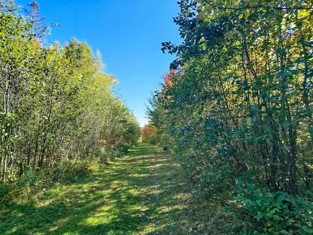 $689,000 | 717 Crystal Road, Crystal, ME 04747