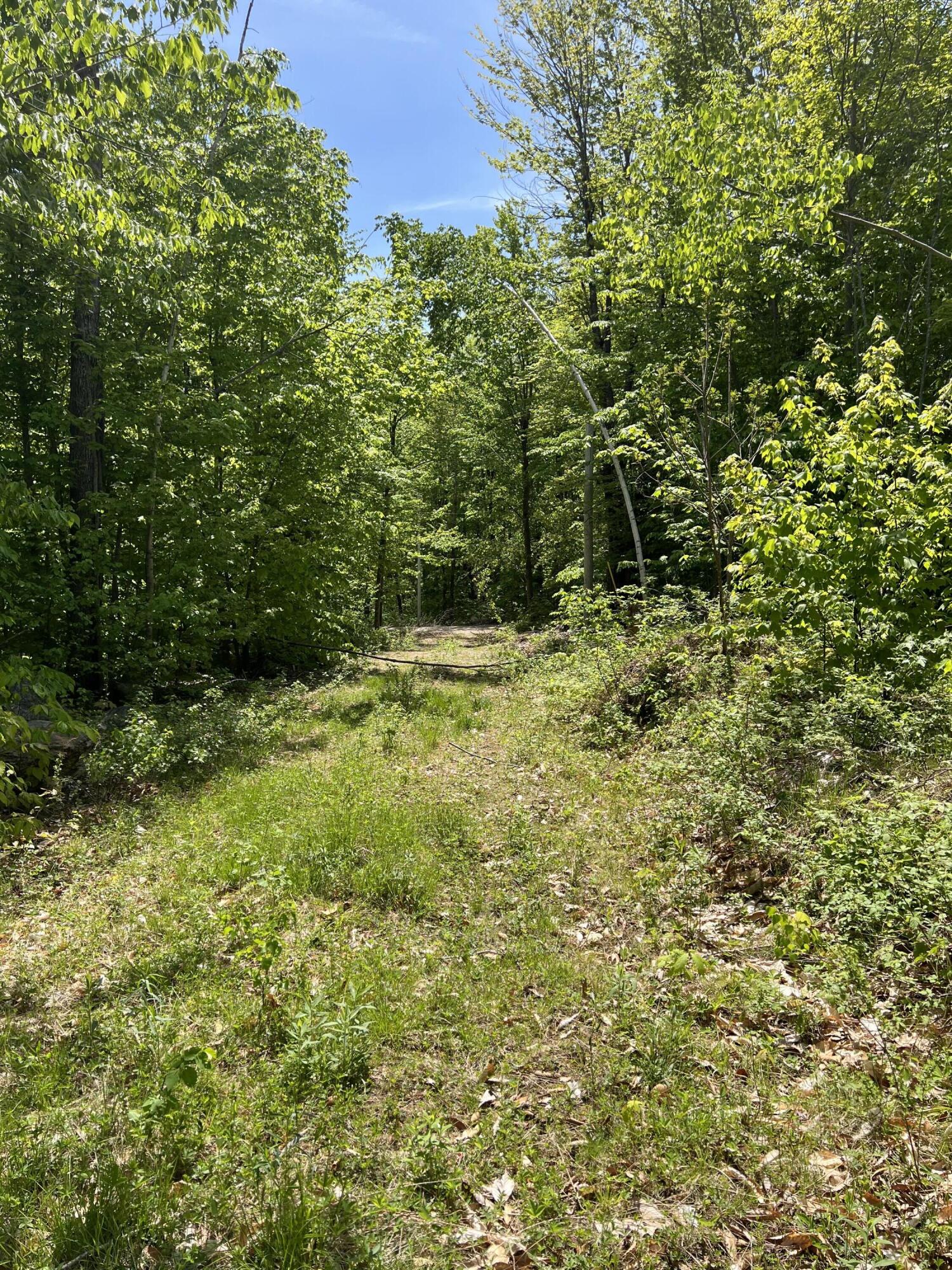 0 Gov Black Road Limington, ME 04049 - Photo 2 of 9 IMG_9014